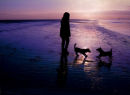 Ferryside Winter Beach Walk